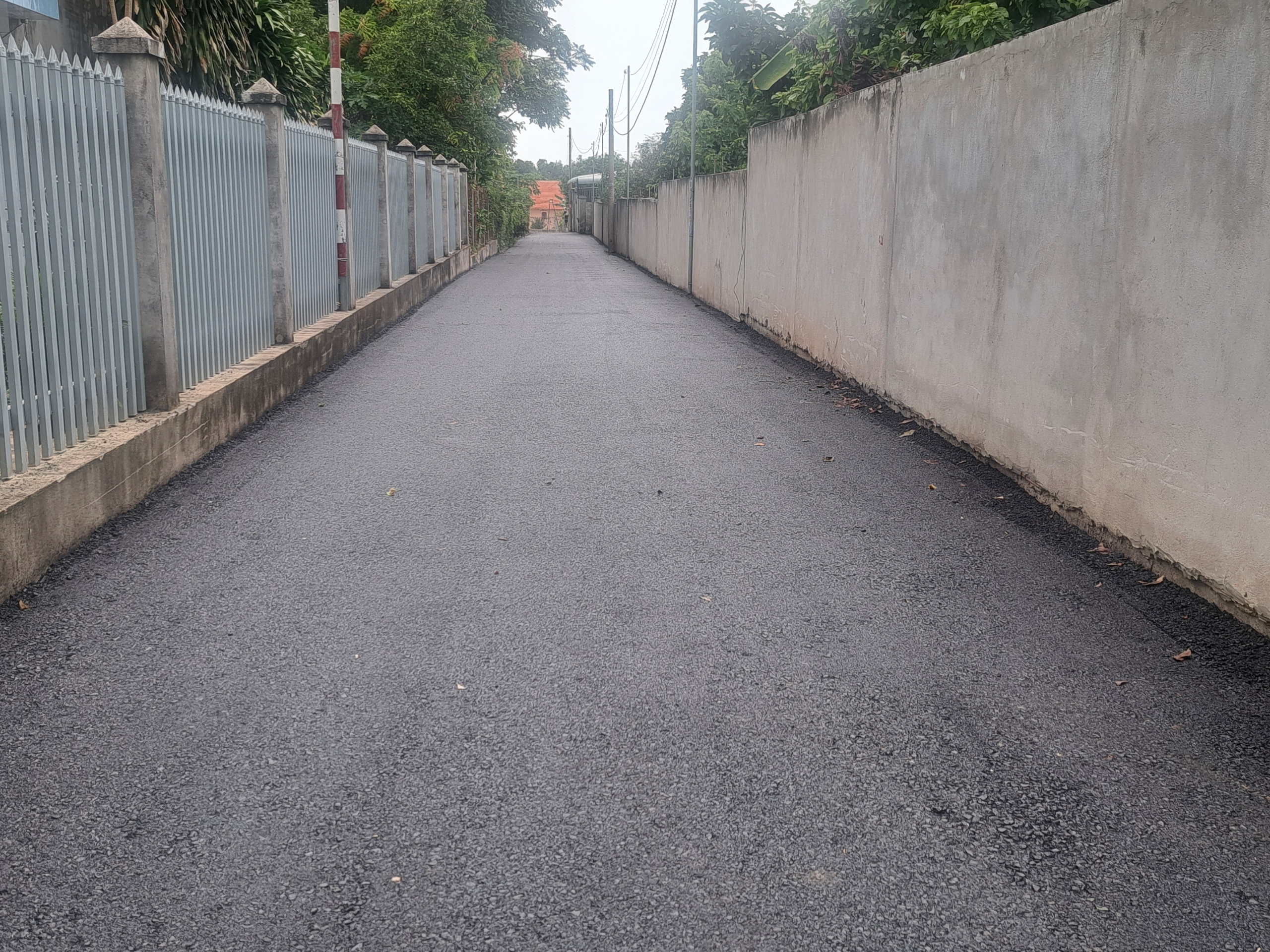 20240827_151303-scaled