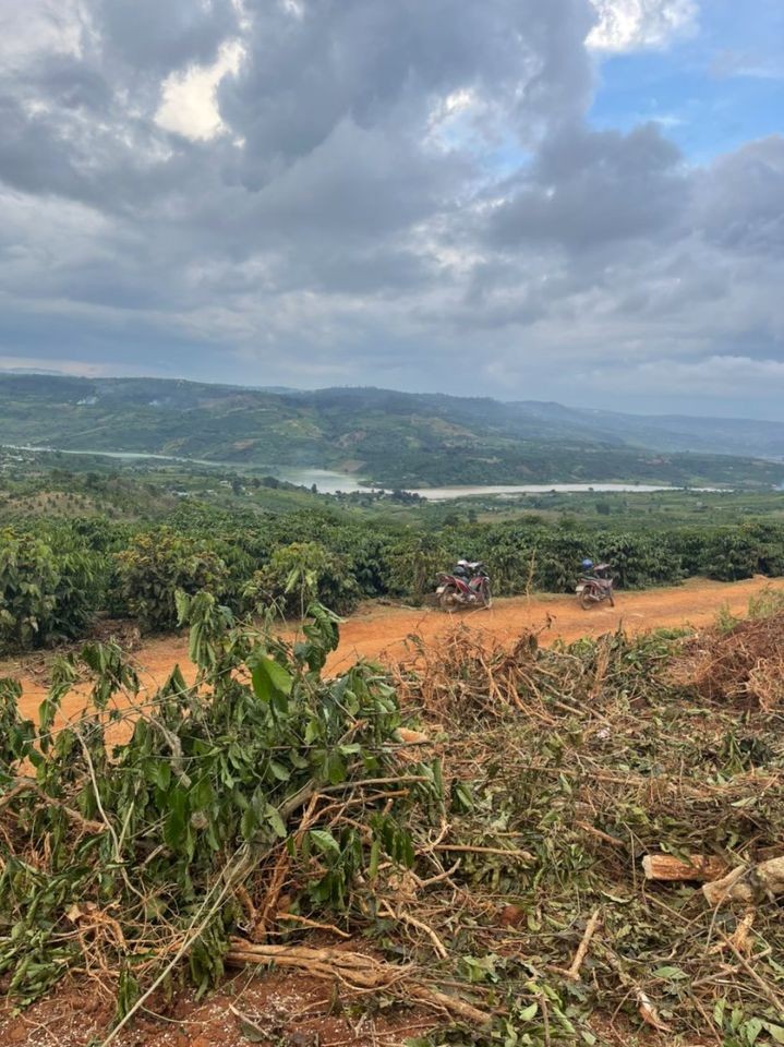 ban-dat-xa-dinh-lac-di-ling-lam-dong5