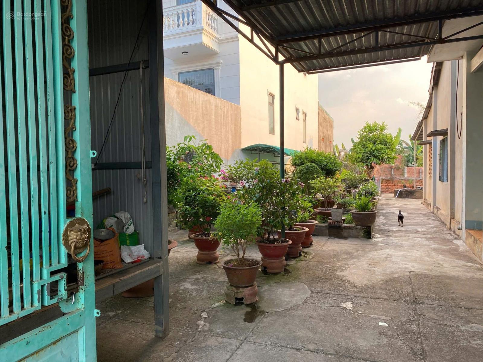 20251026220232-8969_wm